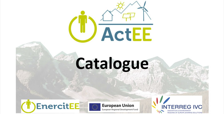 ActEE skierowany jest do  mieszkańców (w szczególności dużych miast), liderów opinii społecznej, osób podejmujących decyzje w kwestiach związanych z energią i ochroną środowiska, przedsiębiorców.